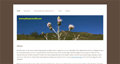 Desktop Screenshot of johnpecorelli.com